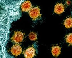 COVID-19 and the Long haul Hell