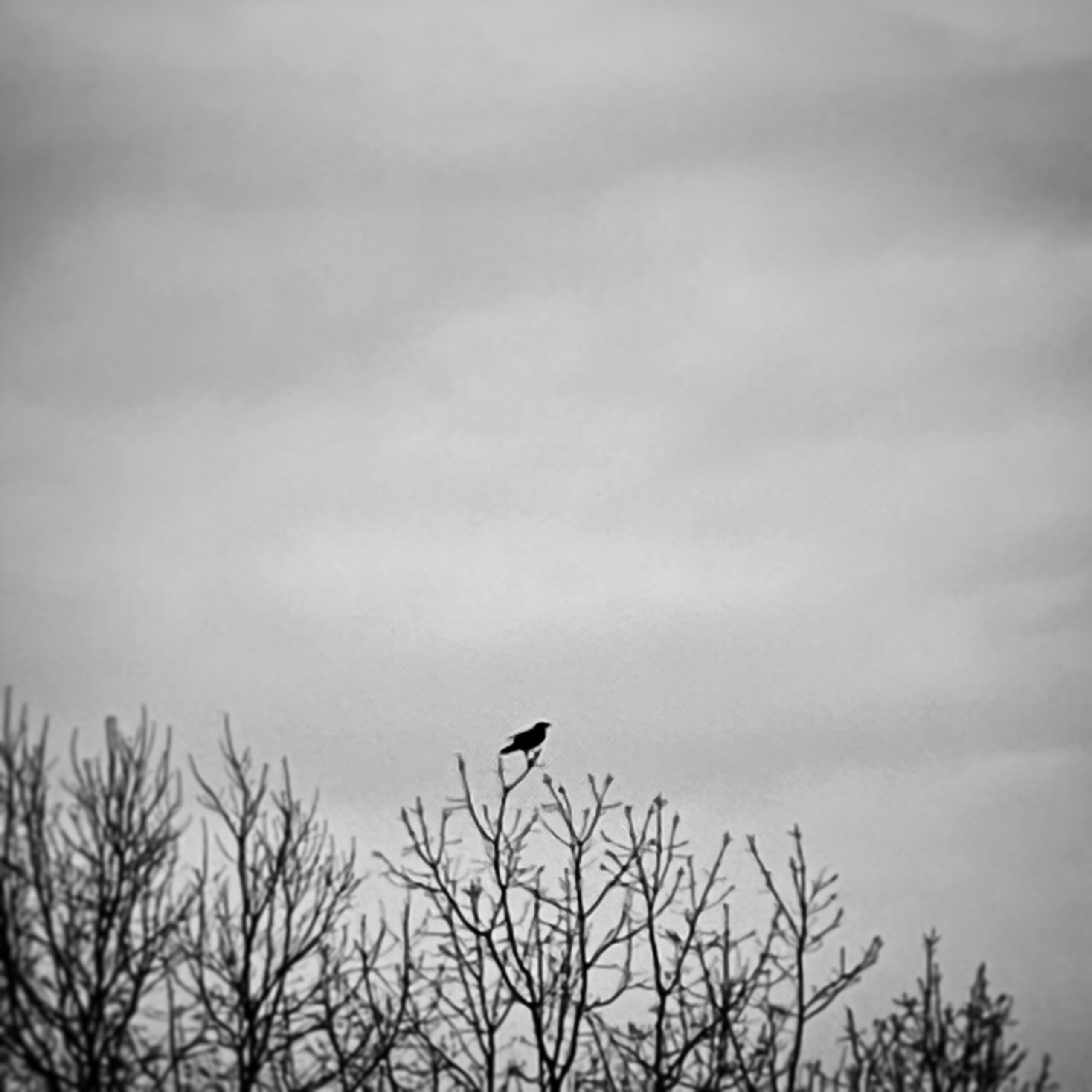 A message: The new COVID wave is no joke