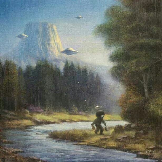 Hegseth responds to questions about aliens