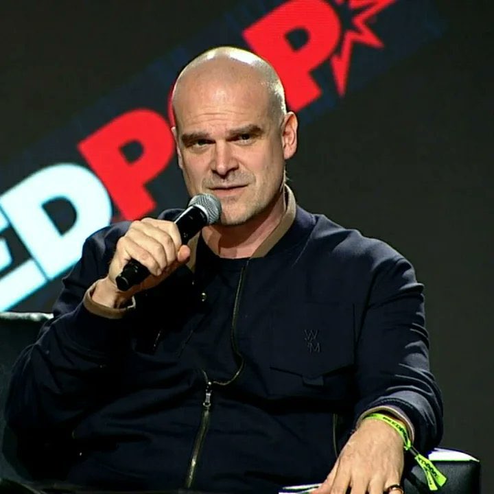 COMIC CON REVELATION: David Harbour was told “Sorry man, they’re trying to bury it.’ It was clearly a terrible show” on Stranger Things