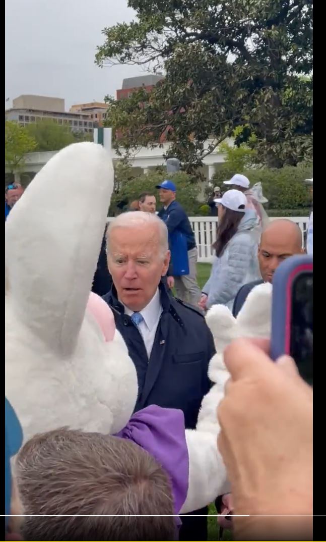 The Herding Bunny at the White House
