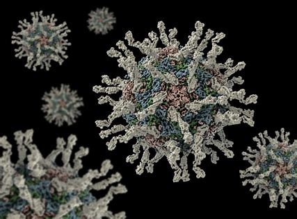 UK EMERGENCY: POLIO FOUND IN SEWAGE SYSTEM