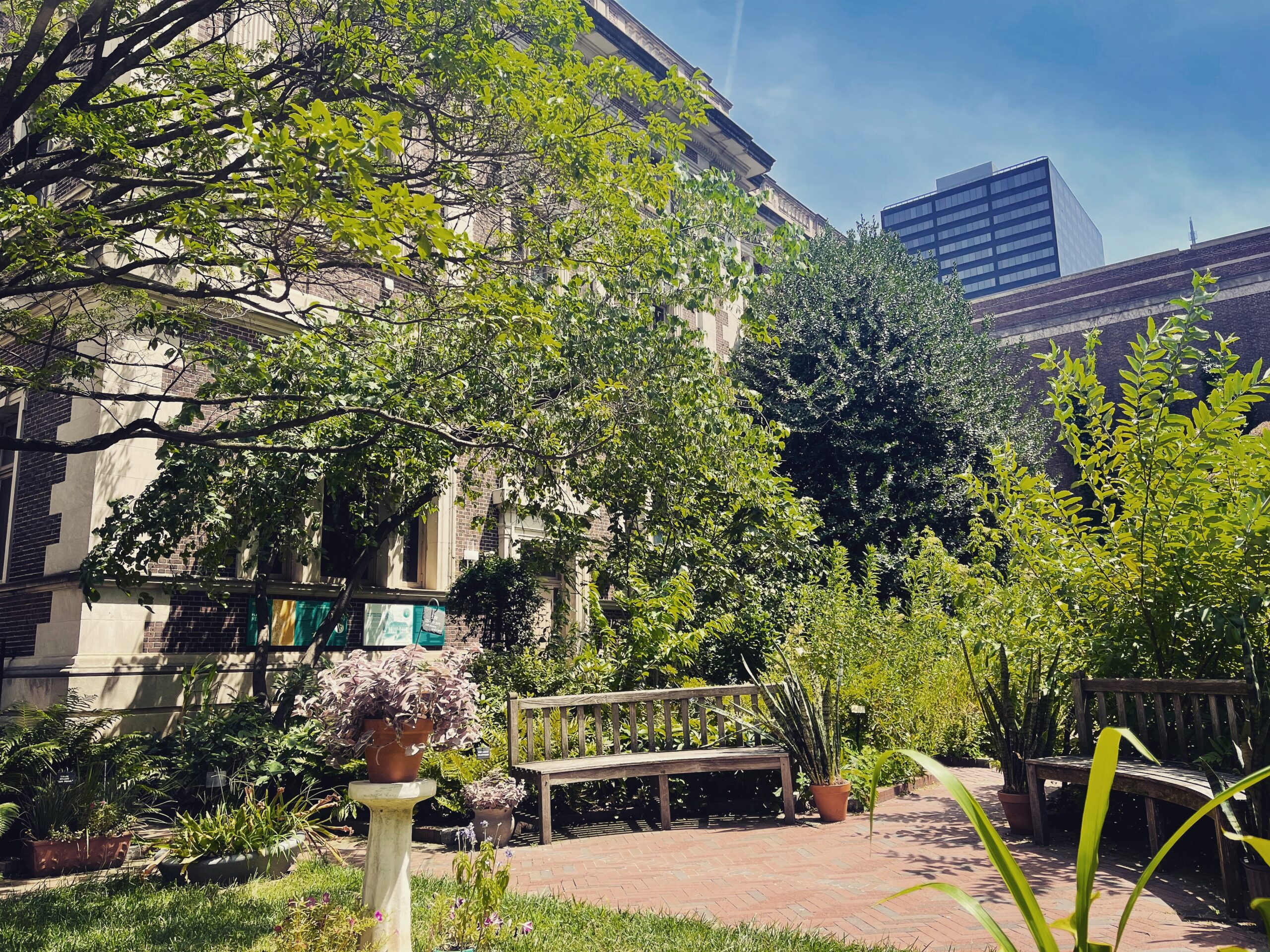 It was a beautiful day at the Mütter Museum!