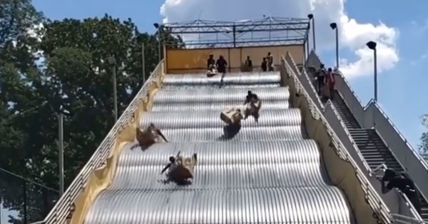 Giant slide mania! WHAT WERE THEY THINKING IN DETROIT!?