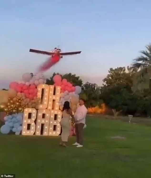 Gender reveal plane stunt kills pilot