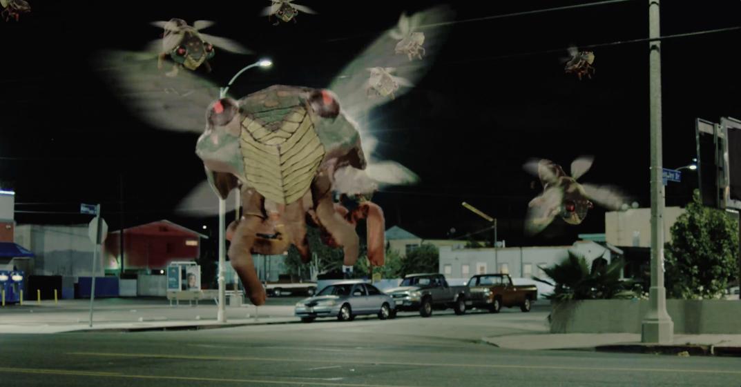 Who’s this brood? The great 2024 Cicada Invasion