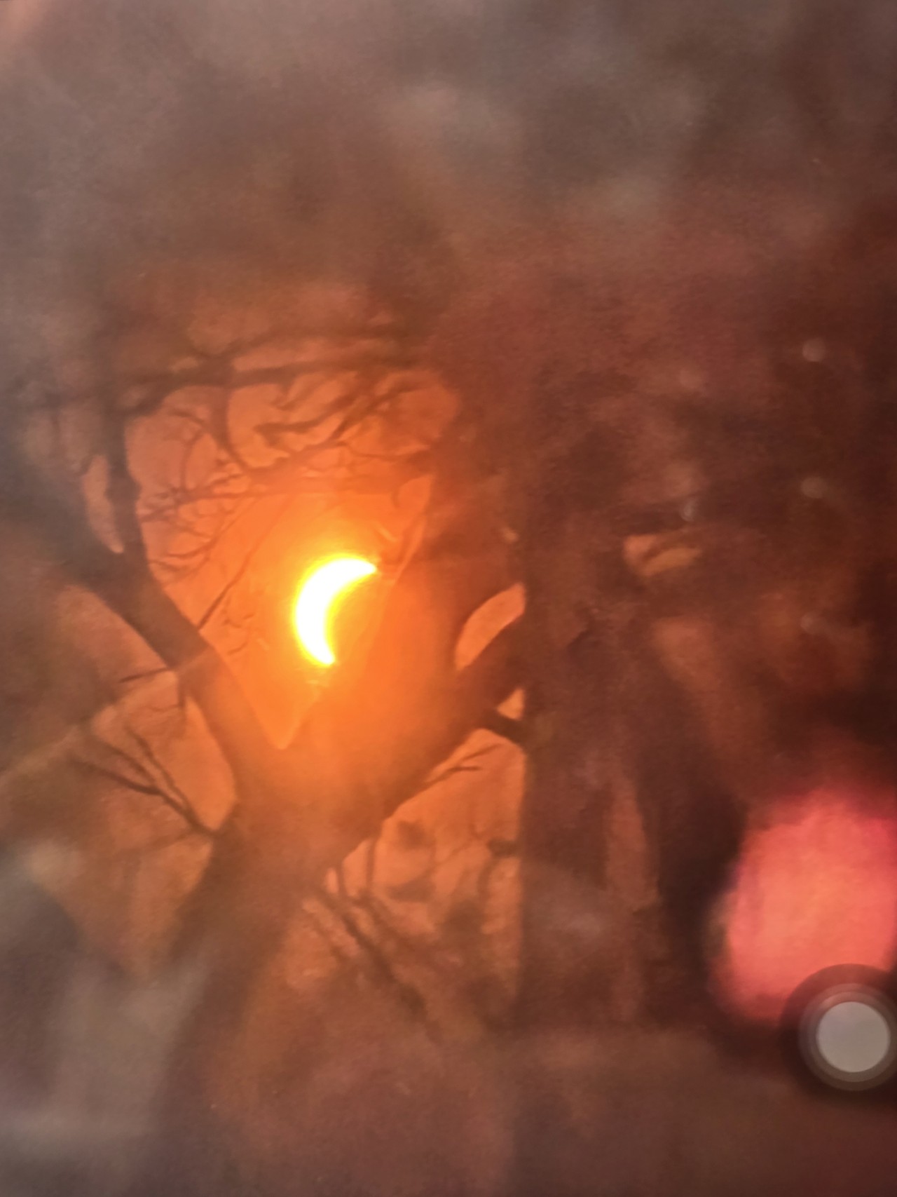 Staring at the sun in reverence: The 2024 solar eclipse