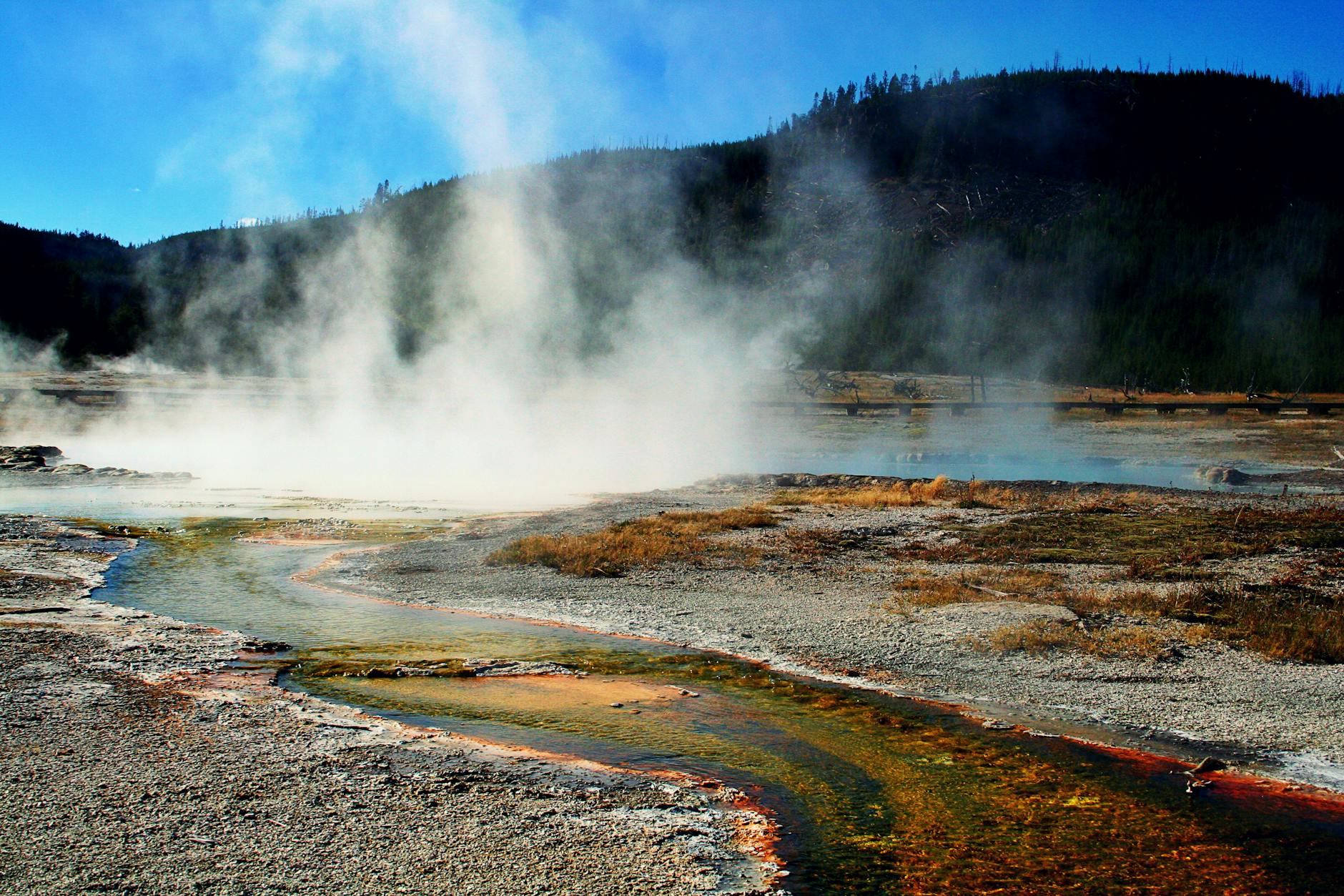 Hydrothermal Explosion Rocks Yellowstone; Destroys Observation Area..