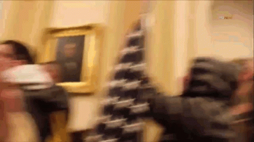 Pardoned Capitol ‘QAnon Shaman’ rioter Jacob Chansley planning to buy guns