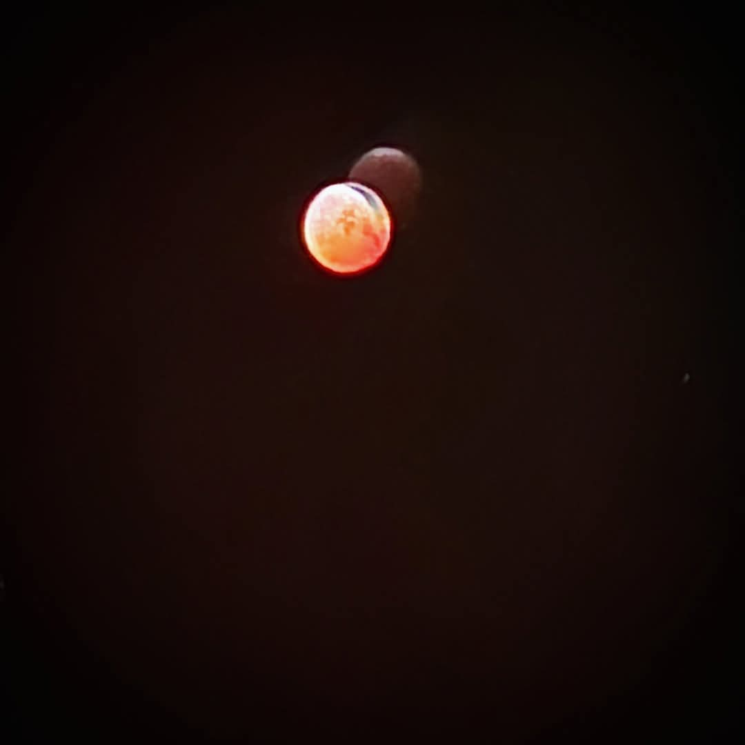 The blood moon rises