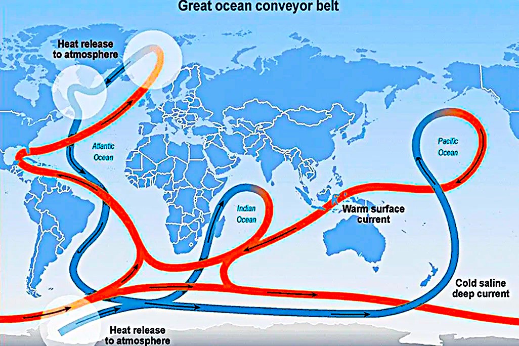 Fear and loathing in the Southern sea