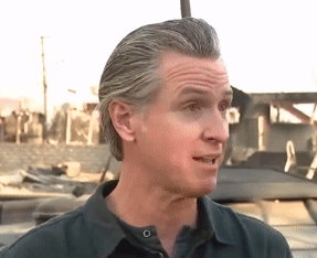 Newsom saves Hollywood?