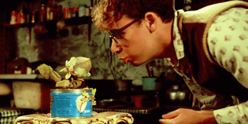 Audrey II lands in Panama