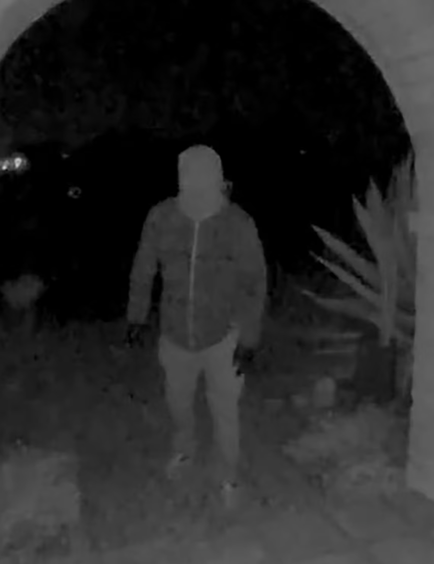 Riddles: Law enforcement has released images of the suspected Nancy