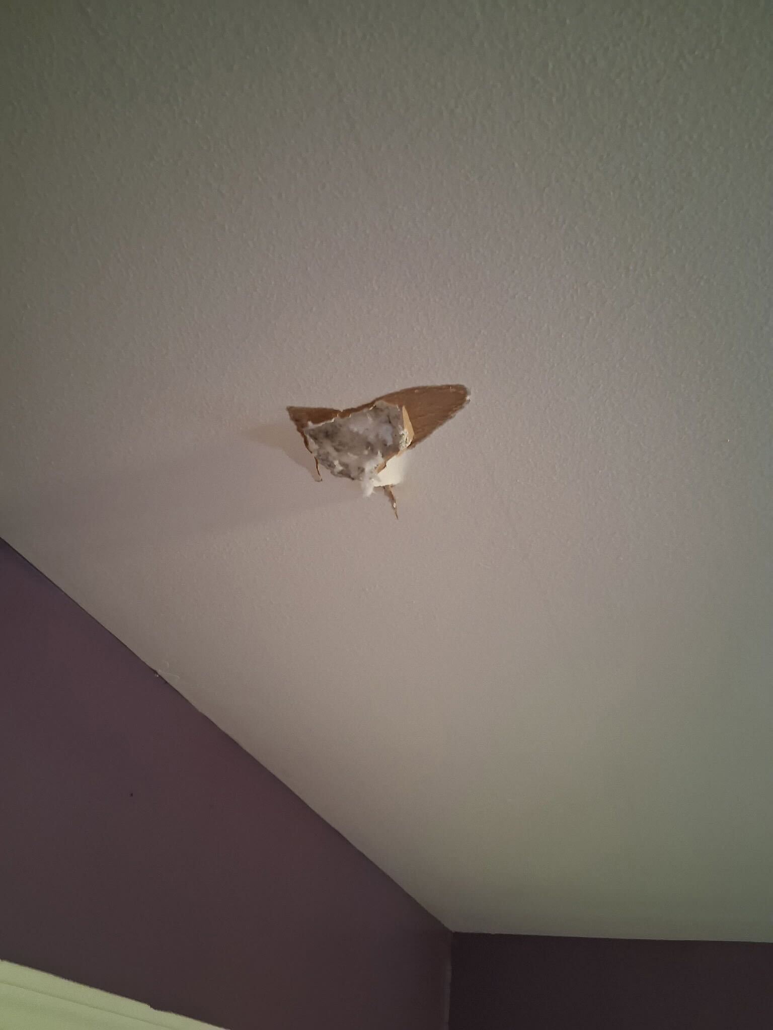 A potential meteor crashed through a woman’s house in Texas