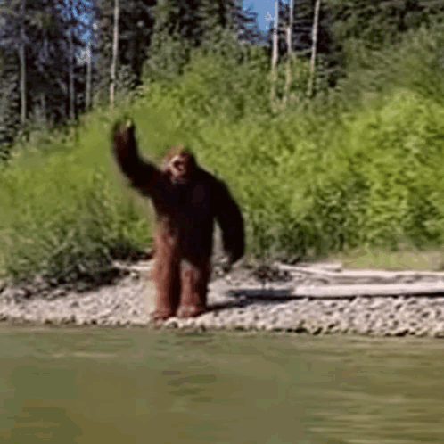 People keep reporting a 9-ft tall creature they think is Bigfoot in Ohio