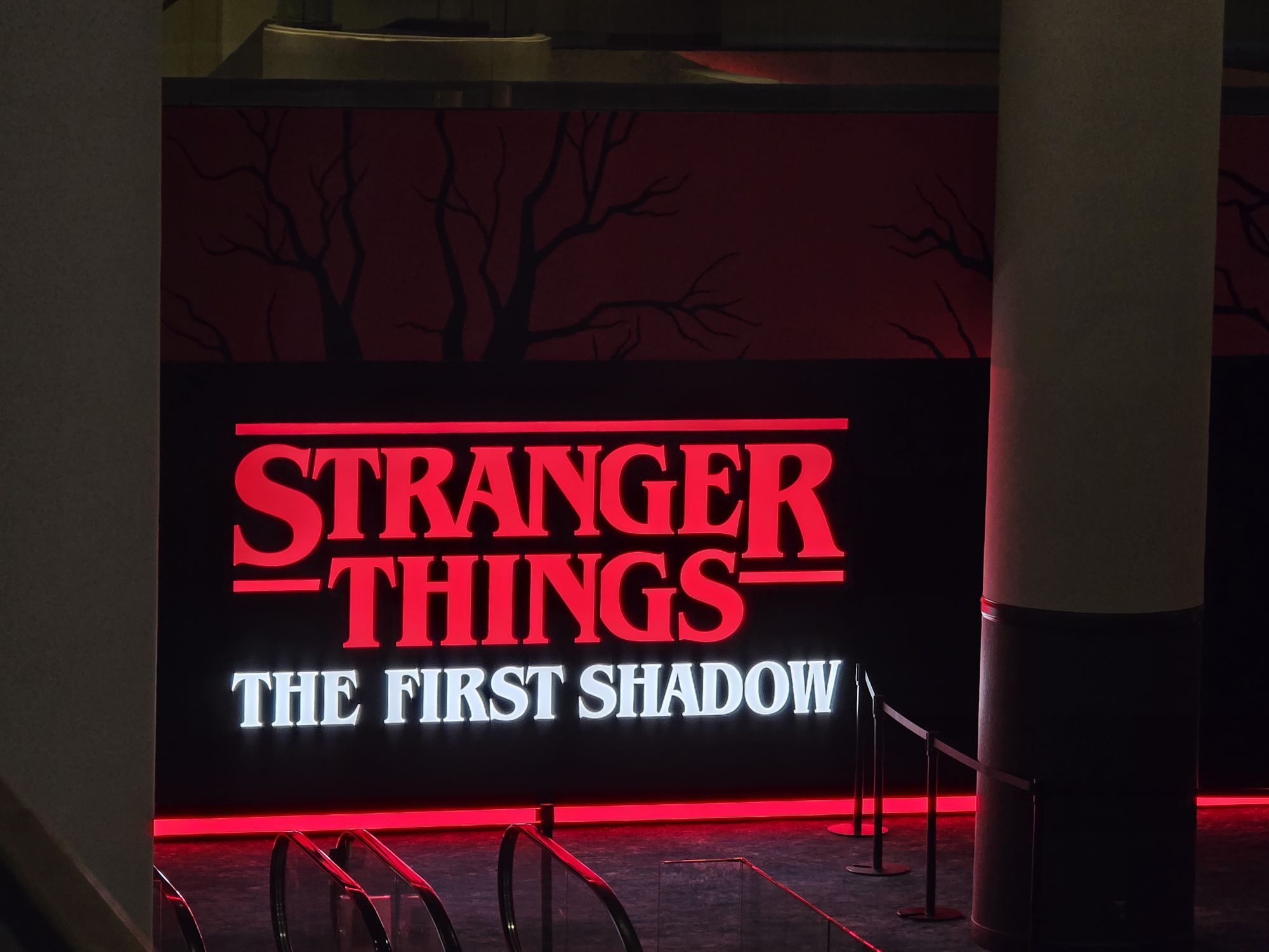 Immersed in the first shadow on Broadway