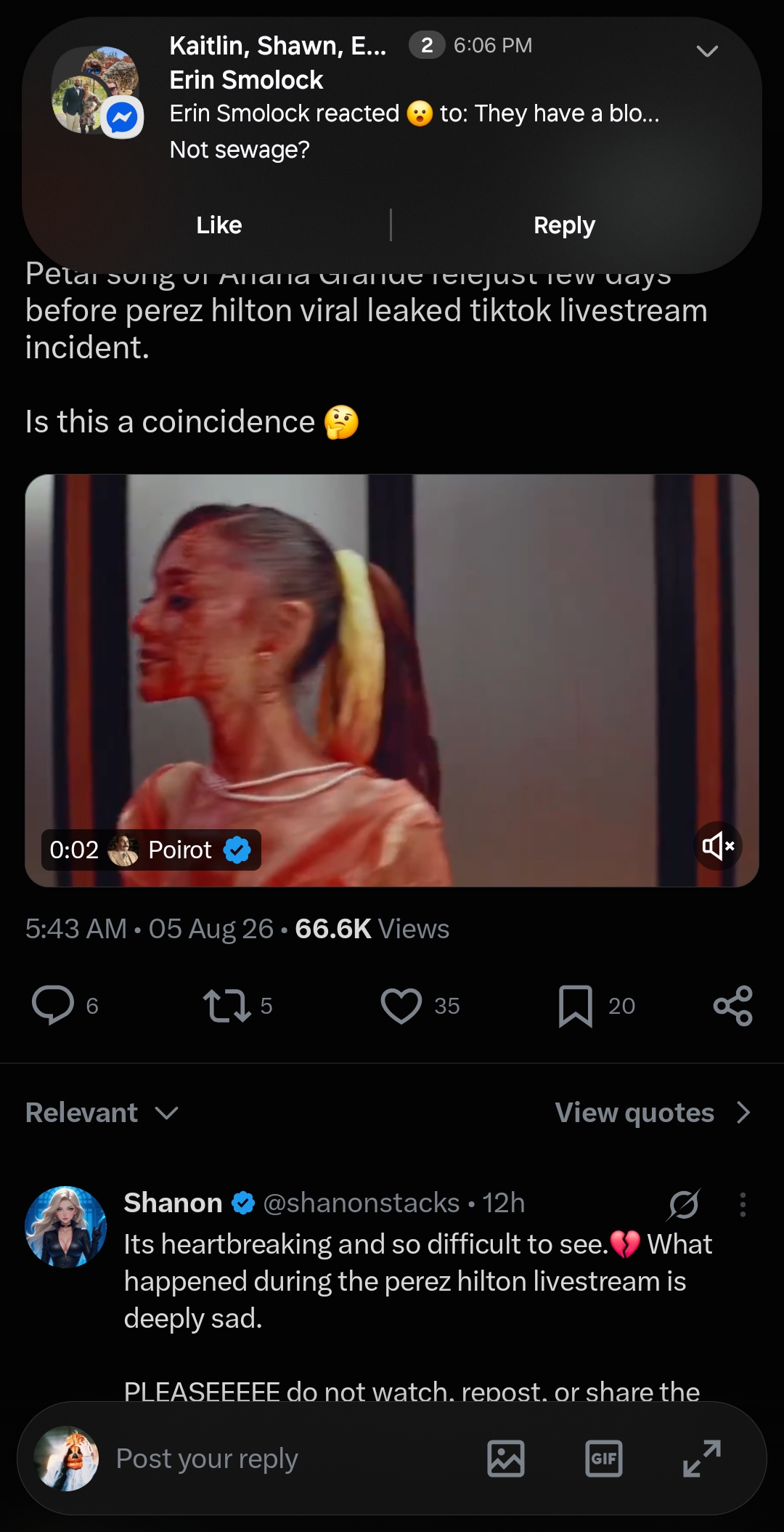 People wondering if Perez Hilton was emulating Ariana