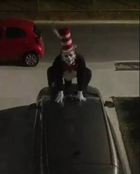 The newest Cat in the Hat trend is not something Dr Seuss would have approved of